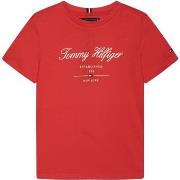 T-shirt enfant Tommy Hilfiger Tee Shirt Garçon manches courtes