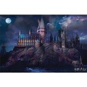 Affiches, posters Harry Potter TA357