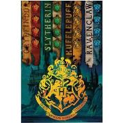 Affiches, posters Harry Potter TA359