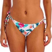 Maillots de bain Freya Palm Paradise