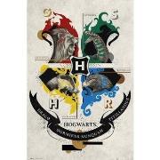 Affiches, posters Harry Potter TA7723