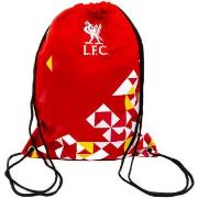 Sac de sport Liverpool Fc TA11537