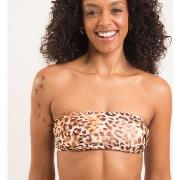 Maillots de bain Rio De Sol 2024 Leopard UPF 50+