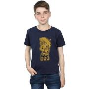 T-shirt enfant Scooby Doo BI33286