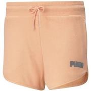 Short Puma BASIC