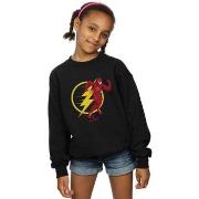 Sweat-shirt enfant Dc Comics BI17194