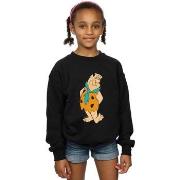 Sweat-shirt enfant The Flintstones BI17278