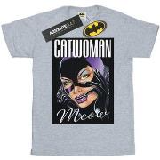 T-shirt Dc Comics Batman Catwoman Feline Fatale