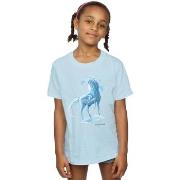 T-shirt enfant Disney Frozen 2 The Water Spirit