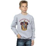 Sweat-shirt enfant Harry Potter BI796