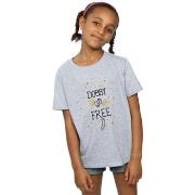 T-shirt enfant Harry Potter Dobby Is Free