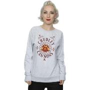 Sweat-shirt Harry Potter Chudley Cannons