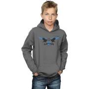 Sweat-shirt enfant Harry Potter Ravenclaw