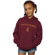 Sweat-shirt enfant Harry Potter Gryffindor Crest