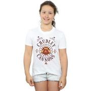 T-shirt enfant Harry Potter Chudley Cannons