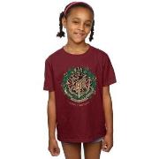 T-shirt enfant Harry Potter Christmas Wreath