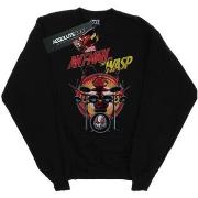 Sweat-shirt enfant Marvel Ant-Man And The Wasp Drummer Ant