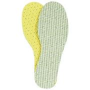 Accessoires Famaco SEMELLES CHLOROPHYLLE FAMACO T33