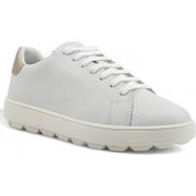 Chaussures Geox Spherica Sneaker Donna White Gold D45WEA09BNFC1327