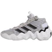 Chaussures adidas Exhibit B Mid