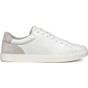 Baskets basses Geox avola sneakers