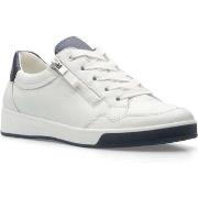 Baskets basses Ara rom leisure trainers