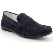 Mocassins IgI&amp;CO 5613433