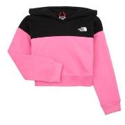 Sweat-shirt enfant The North Face GIRLS DREW PEAK CROP P/O HOODIE