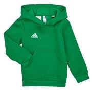 Sweat-shirt enfant adidas ENT22 HOODY Y