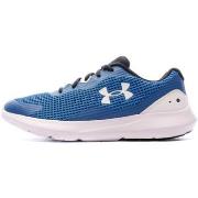 Chaussures Under Armour 3024883-401