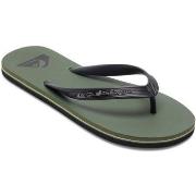 Tongs Quiksilver Molokai Core