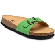 Sandales Scholl ESTELLE Suede