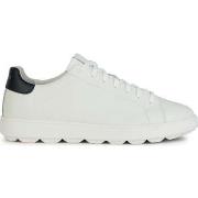 Baskets basses Geox spherica ecub-1 sneakers white navy