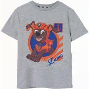 T-shirt enfant Paw Patrol NS8408