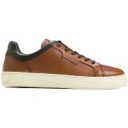 Baskets basses Redskins HELIOR COGNAC+MARINE