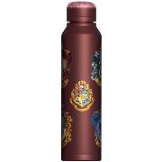 Bouteilles Harry Potter PM8342