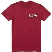 T-shirt The Flash The Scarlet Speedster