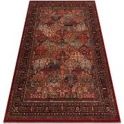 Tapis Rugsx Tapis en laine KASHQAI 4309 300 oriental, 80x160 cm