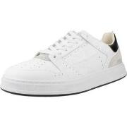 Baskets Premiata QUINN 6299