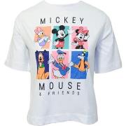 T-shirt Disney 90's Friends