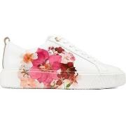 Baskets basses Ted Baker Avery Formateurs De Cour