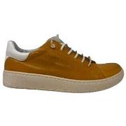 Baskets Chacal CHAUSSURES 6681