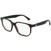 Lunettes de soleil Bottega Veneta BV1097O Cadres Optiques, Havana/Tran...