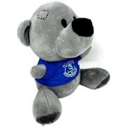 Accessoire sport Everton Fc Timmy