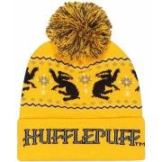 Chapeau Harry Potter Hufflepuff Snow