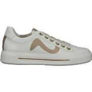 Baskets basses Ara Sneaker