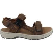 Sandales Clarks Sandales