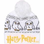 Chapeau Harry Potter Snow