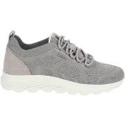 Baskets basses Geox Sneaker