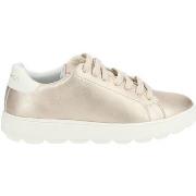 Baskets basses Geox Sneaker